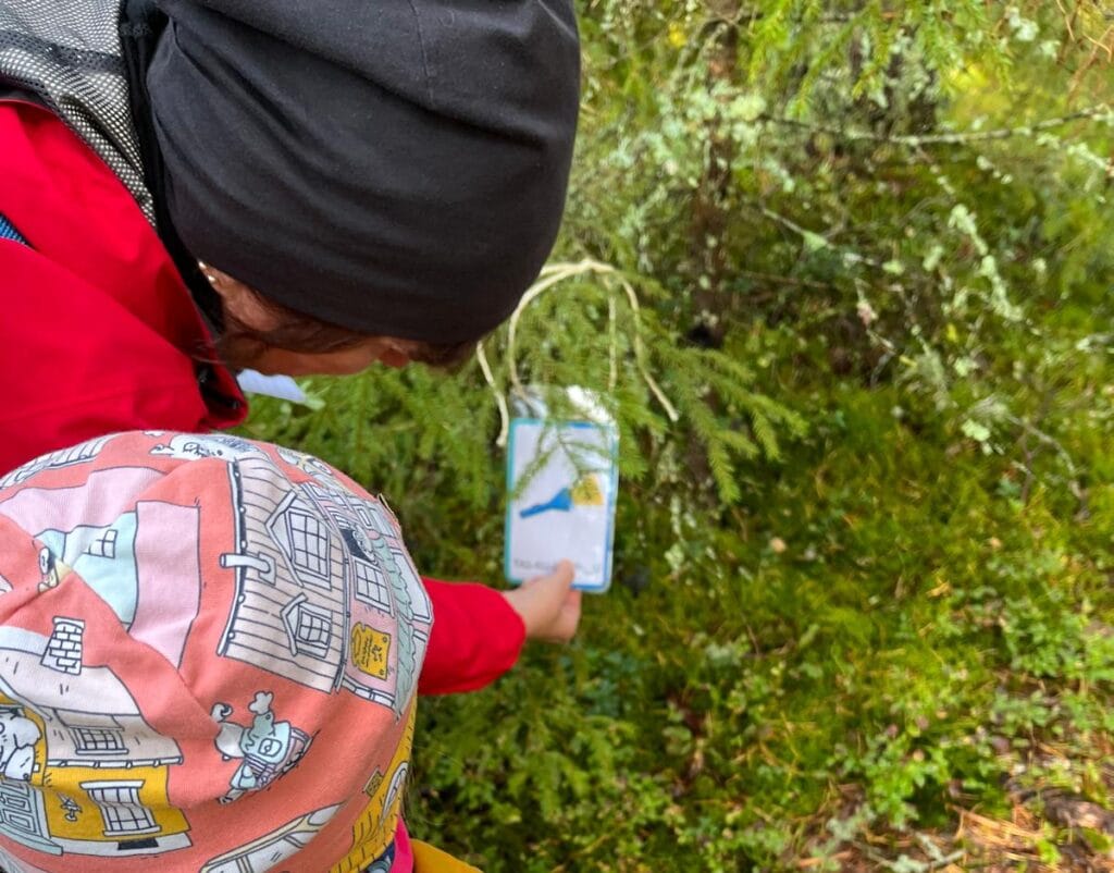 Perhepartio käynnistyy, uudet ovat tervetulleita mukaan! - Lue lisää